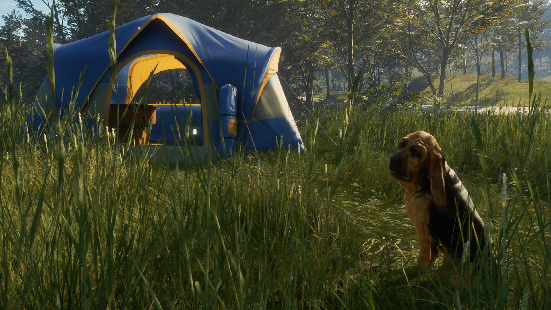 theHunter: Call of the Wild - Bloodhound DLC PC Steam CD Key (valid until March, 2027)