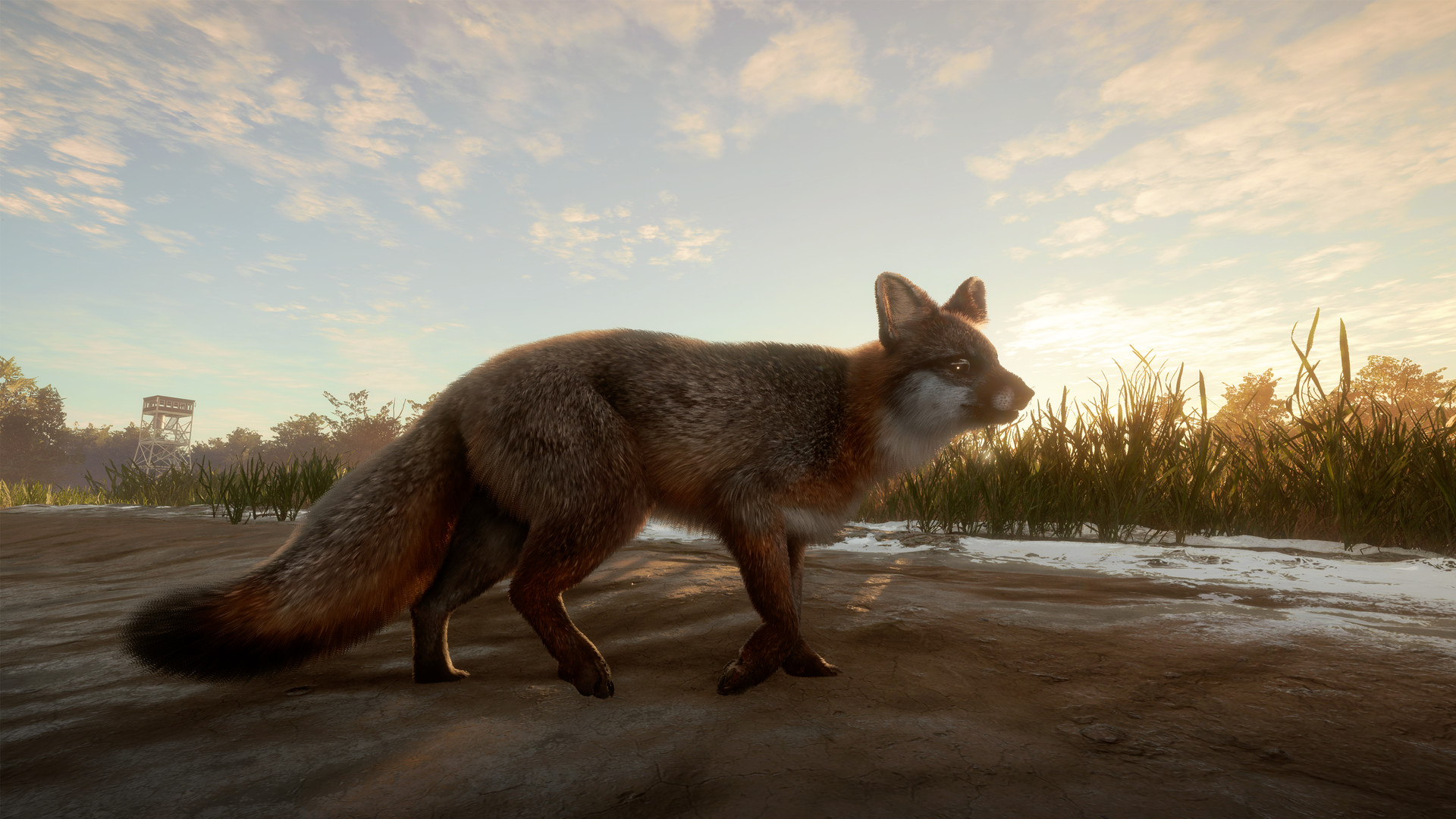 theHunter: Call of the Wild - Mississippi Acres Preserve DLC PC Steam CD Key (valid until March, 2027)