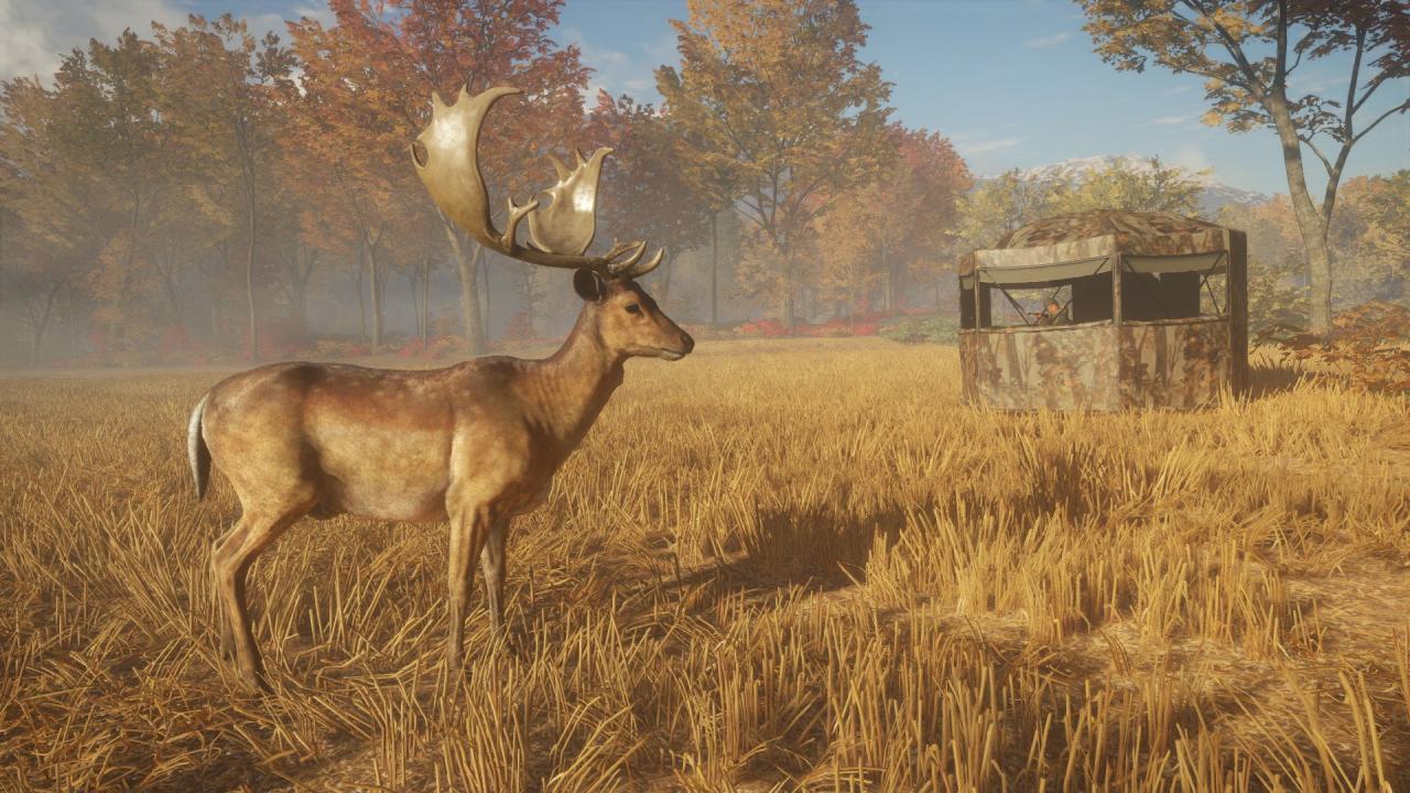 theHunter: Call of the Wild - Tents & Ground Blinds DLC PC Steam CD Key (valid until March, 2027)