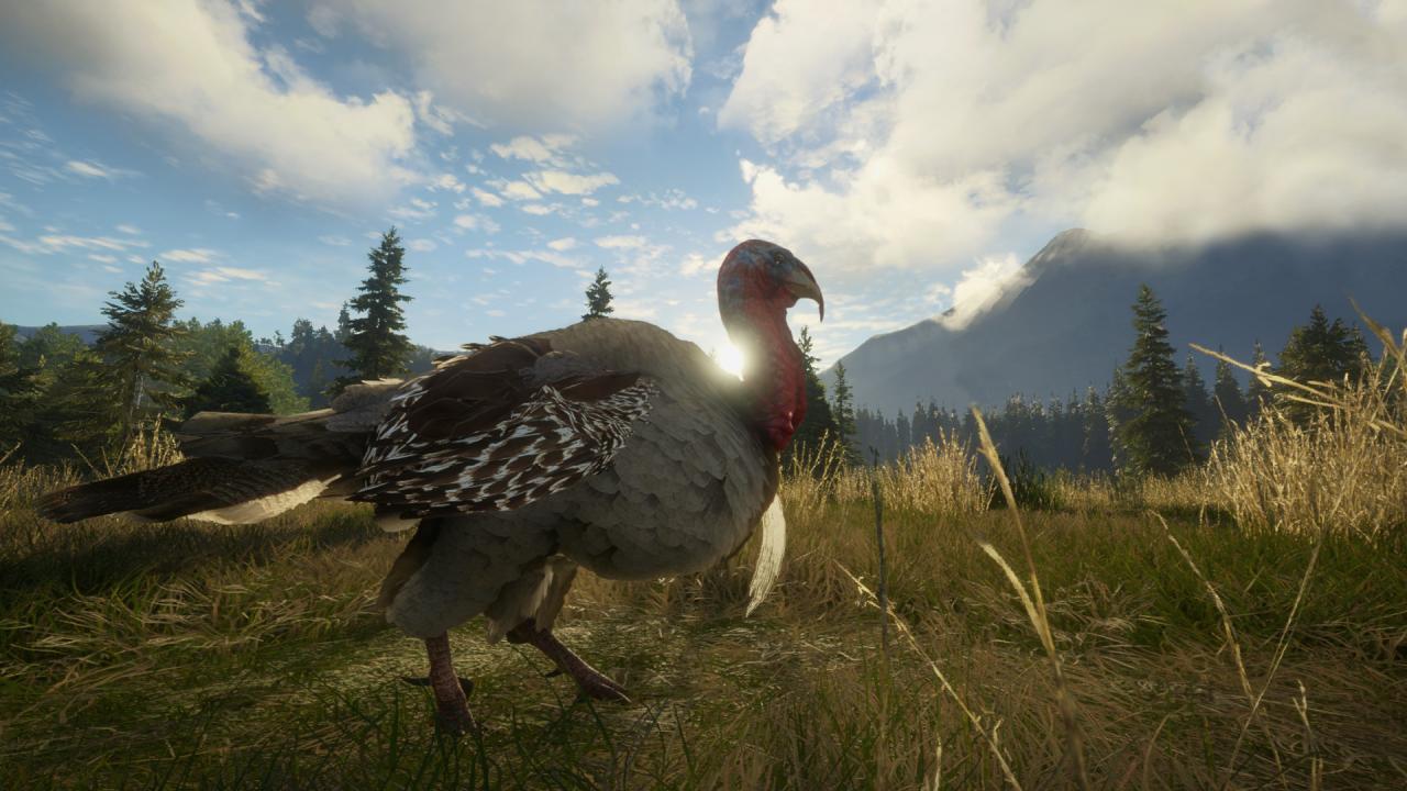 theHunter: Call of the Wild - Silver Ridge Peaks DLC PC Steam CD Key (valid until March, 2027)