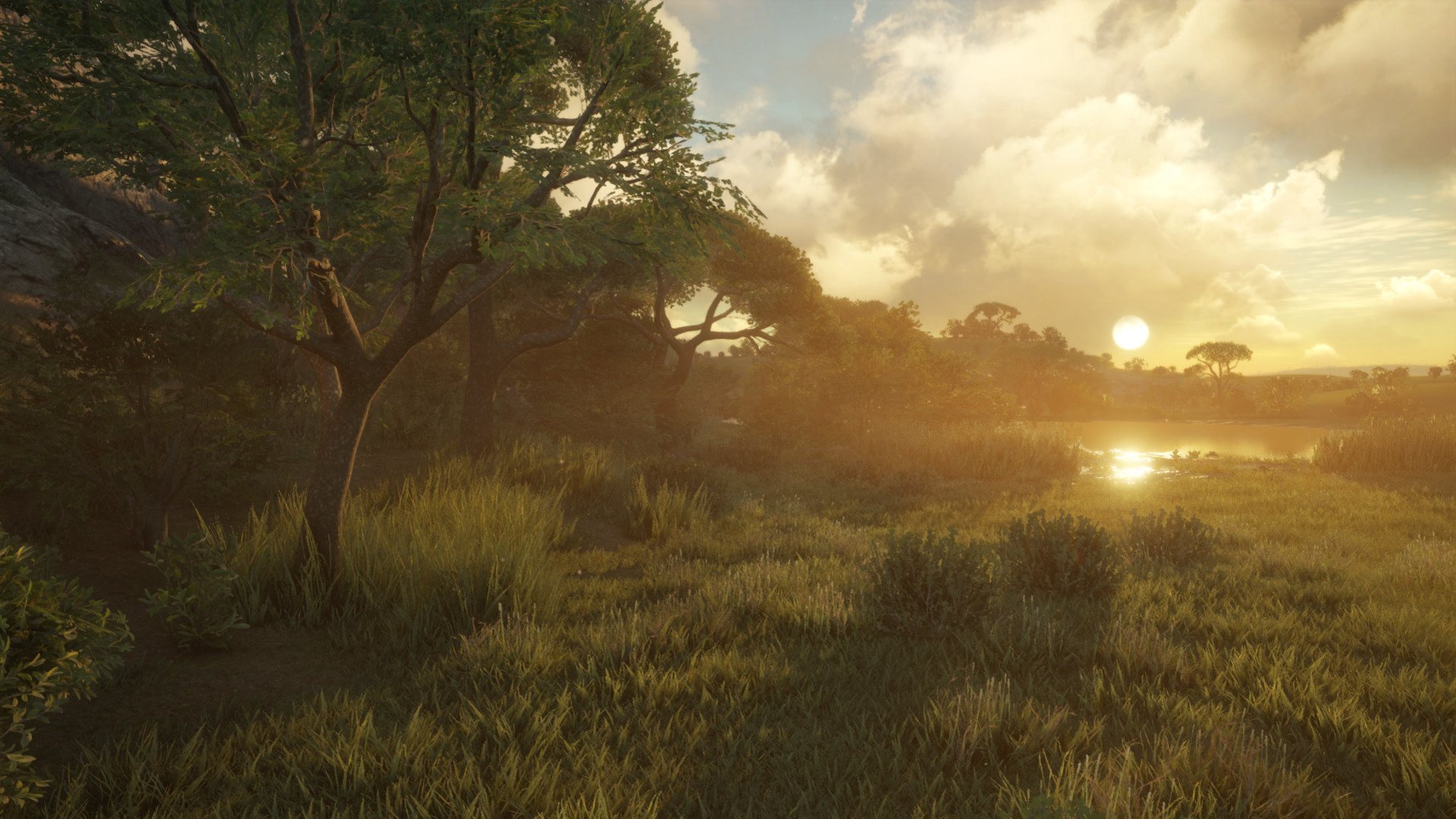 theHunter: Call of the Wild - Vurhonga Savanna DLC PC Steam CD Key (valid until March, 2027)