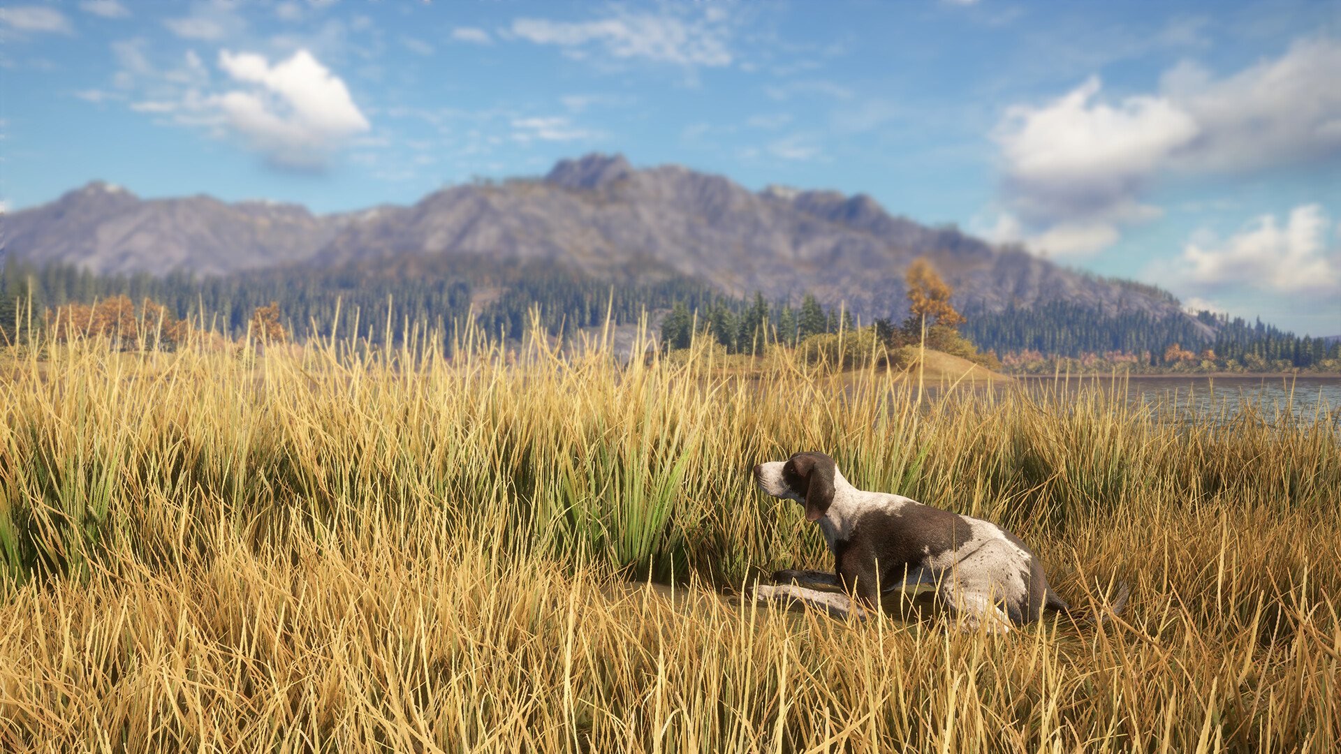 theHunter: Call of the Wild - German Shorthaired Pointer DLC PC Steam CD Key (valid until March, 2027)