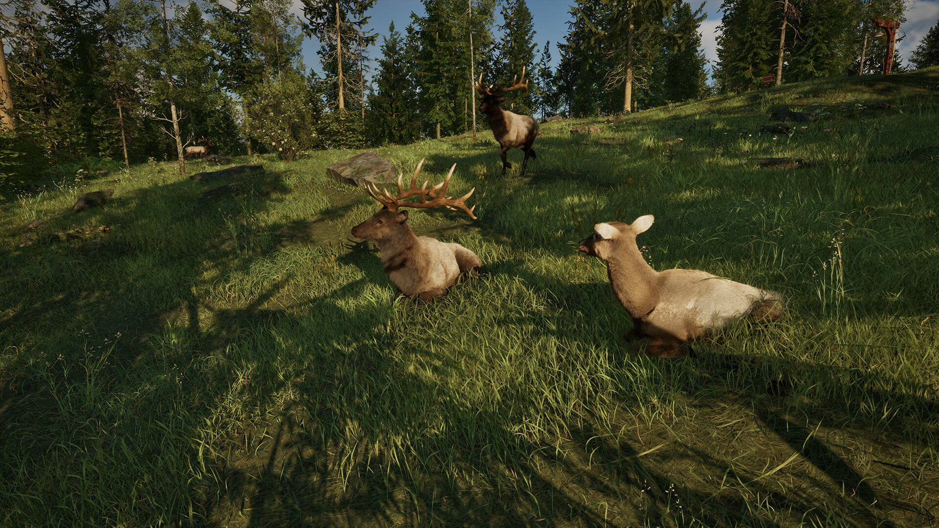 Ranger’s Path: National Park Simulator PC Steam CD Key