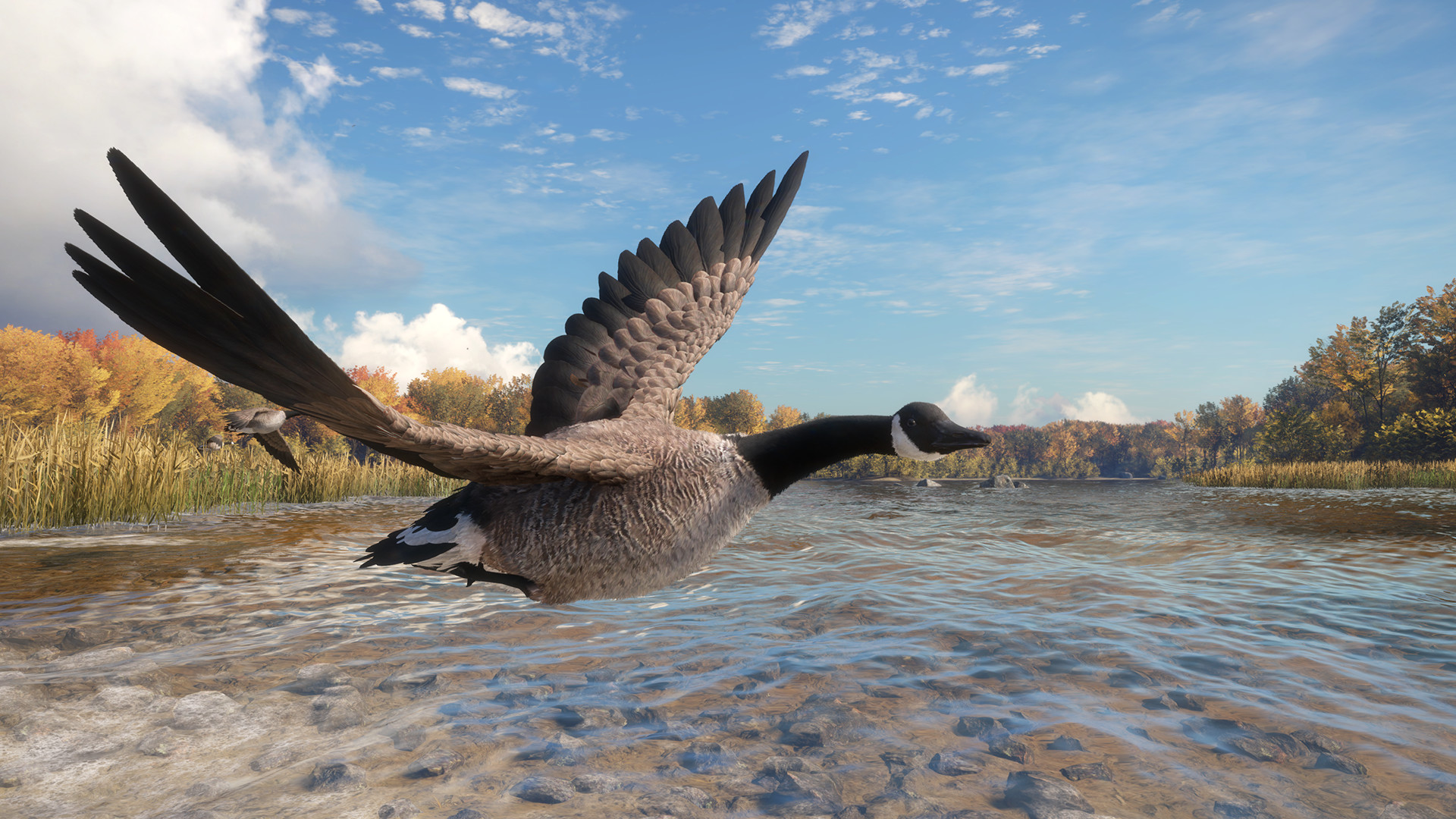 theHunter: Call of the Wild - Wild Goose Chase Gear DLC PC Steam CD Key (valid until March, 2027)