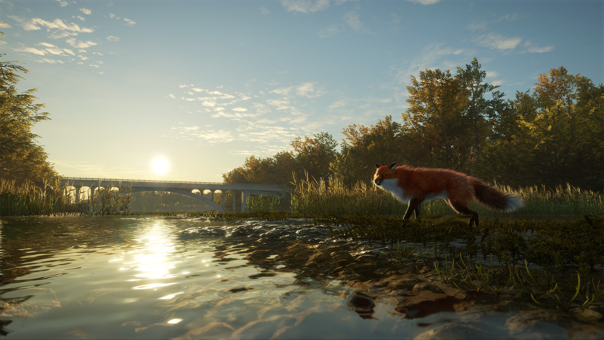 theHunter: Call of the Wild - Salzwiesen Park DLC PC Steam CD Key (valid until March, 2027)