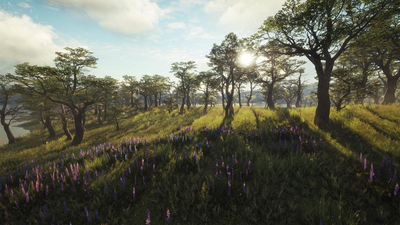 theHunter: Call of the Wild - Parque Fernando DLC PC Steam CD Key (valid until March, 2027)