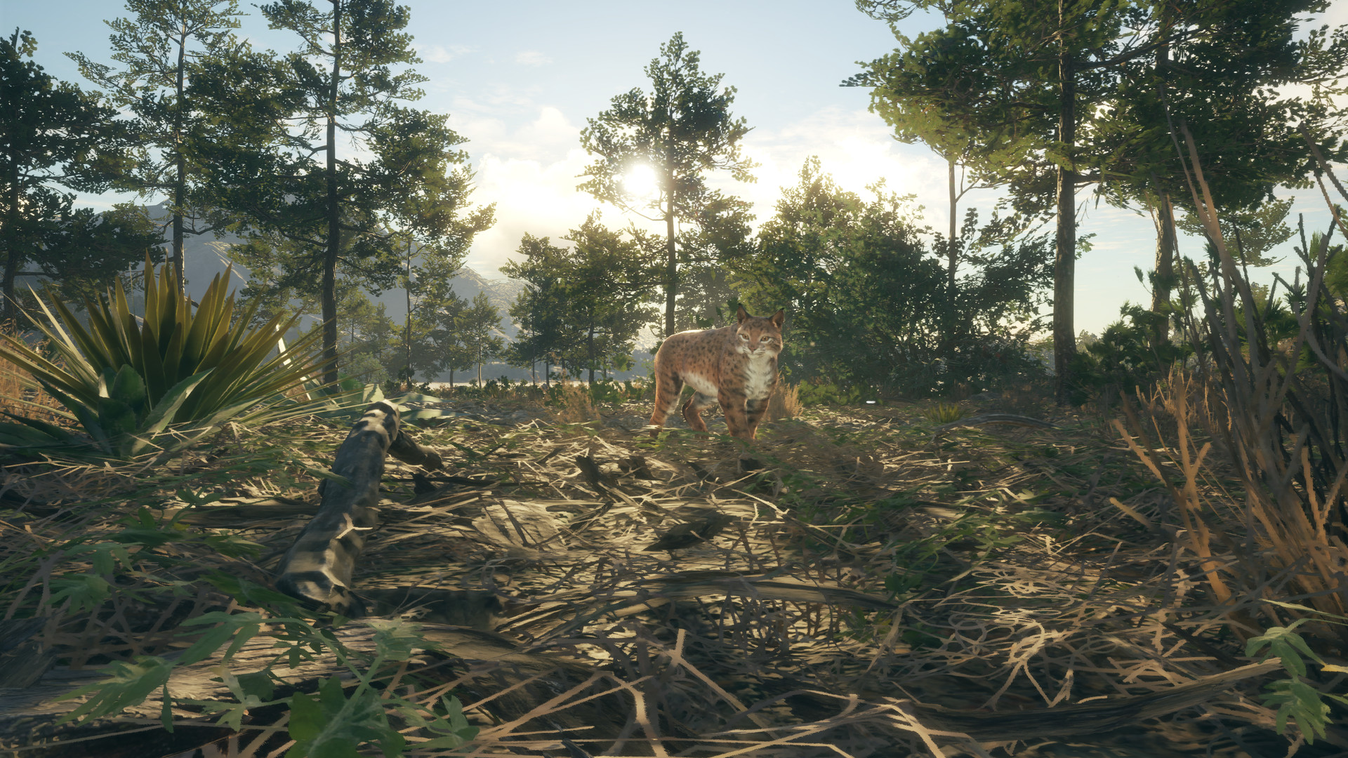 theHunter: Call of the Wild - Rancho del Arroyo DLC PC Steam CD Key (valid until March, 2027)