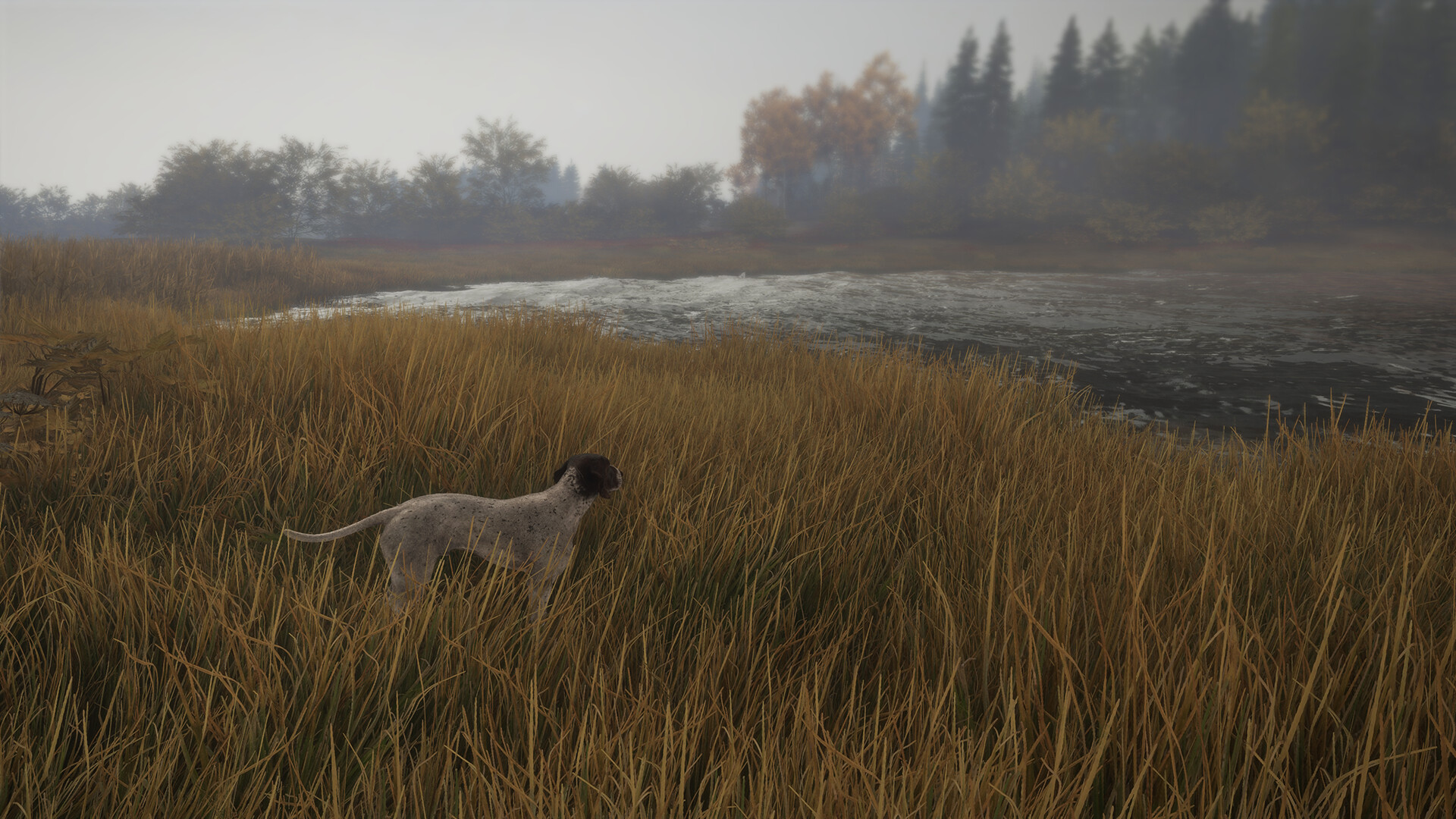 theHunter: Call of the Wild - German Shorthaired Pointer DLC PC Steam CD Key (valid until March, 2027)