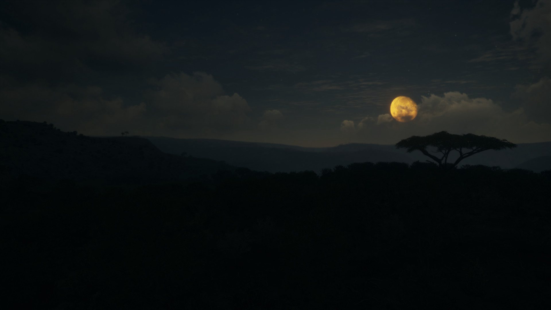 theHunter: Call of the Wild - Vurhonga Savanna DLC PC Steam CD Key (valid until March, 2027)