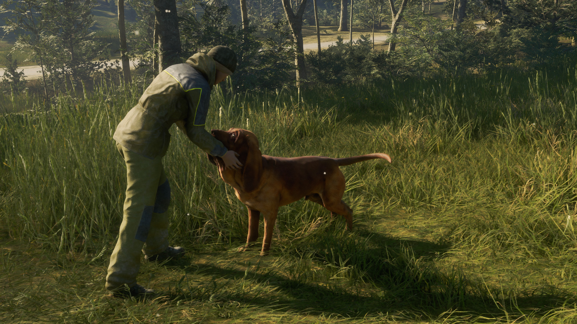 theHunter: Call of the Wild - Bloodhound DLC PC Steam CD Key (valid until March, 2027)