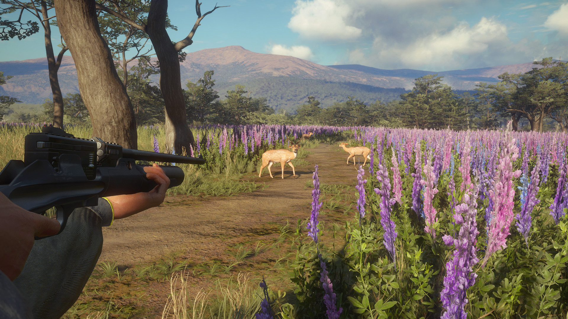 theHunter: Call of the Wild - Weapon Pack 3 DLC PC Steam CD Key (valid until March, 2027)