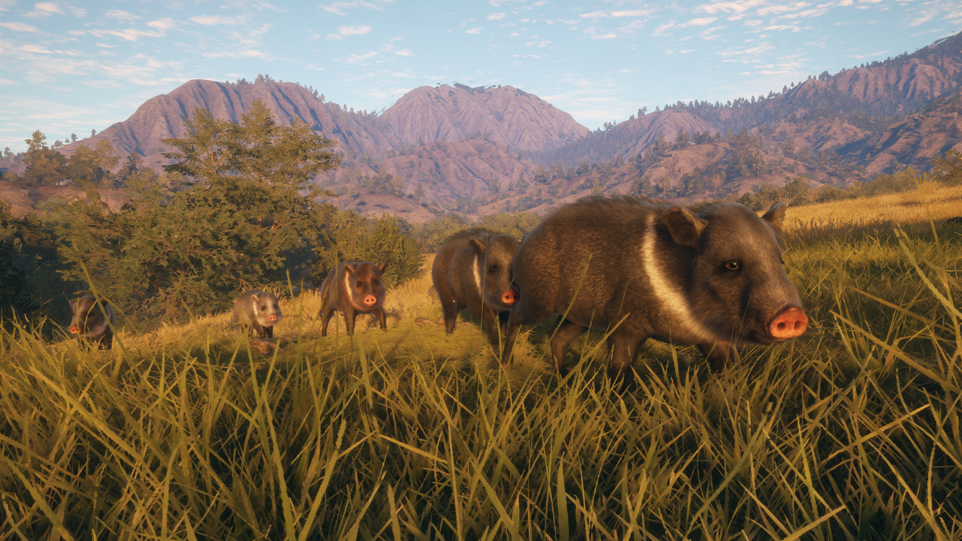 theHunter: Call of the Wild - Rancho del Arroyo DLC PC Steam CD Key (valid until March, 2027)