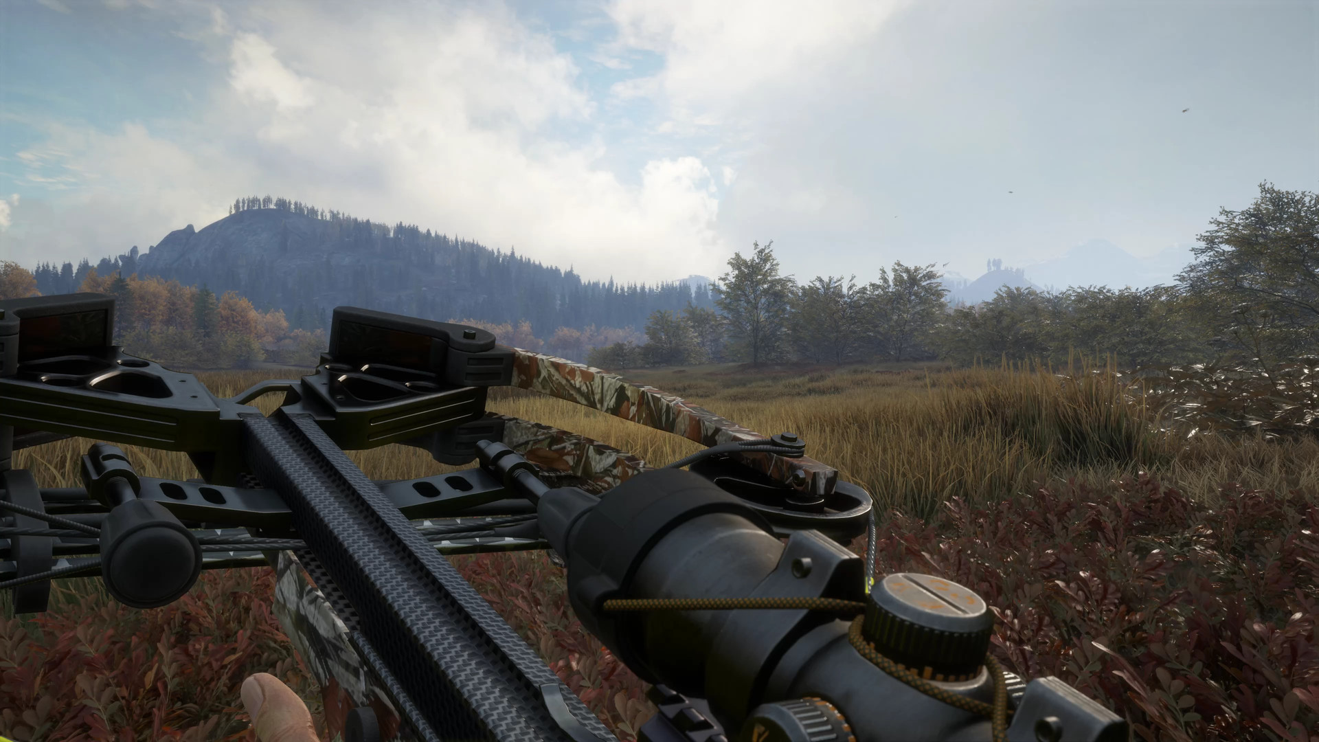theHunter: Call of the Wild - Weapon Pack 1 DLC PC Steam CD Key (valid until March, 2027)