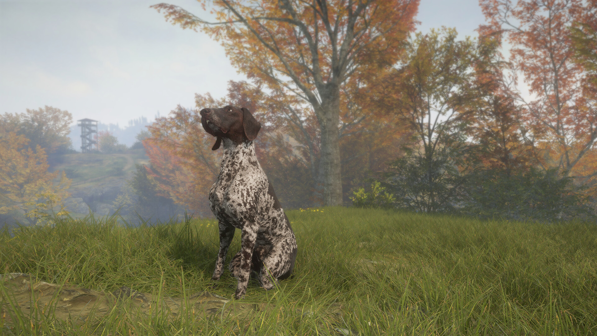 theHunter: Call of the Wild - German Shorthaired Pointer DLC PC Steam CD Key (valid until March, 2027)