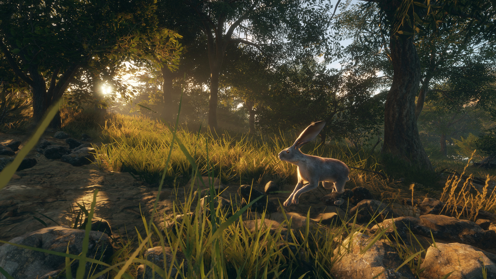 theHunter: Call of the Wild - Rancho del Arroyo DLC PC Steam CD Key (valid until March, 2027)