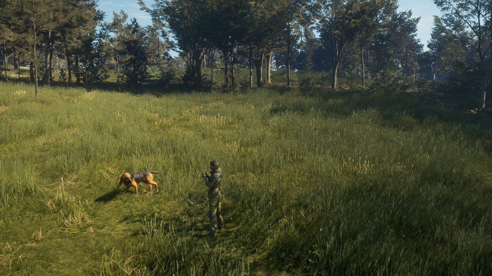 theHunter: Call of the Wild - Bloodhound DLC PC Steam CD Key (valid until March, 2027)