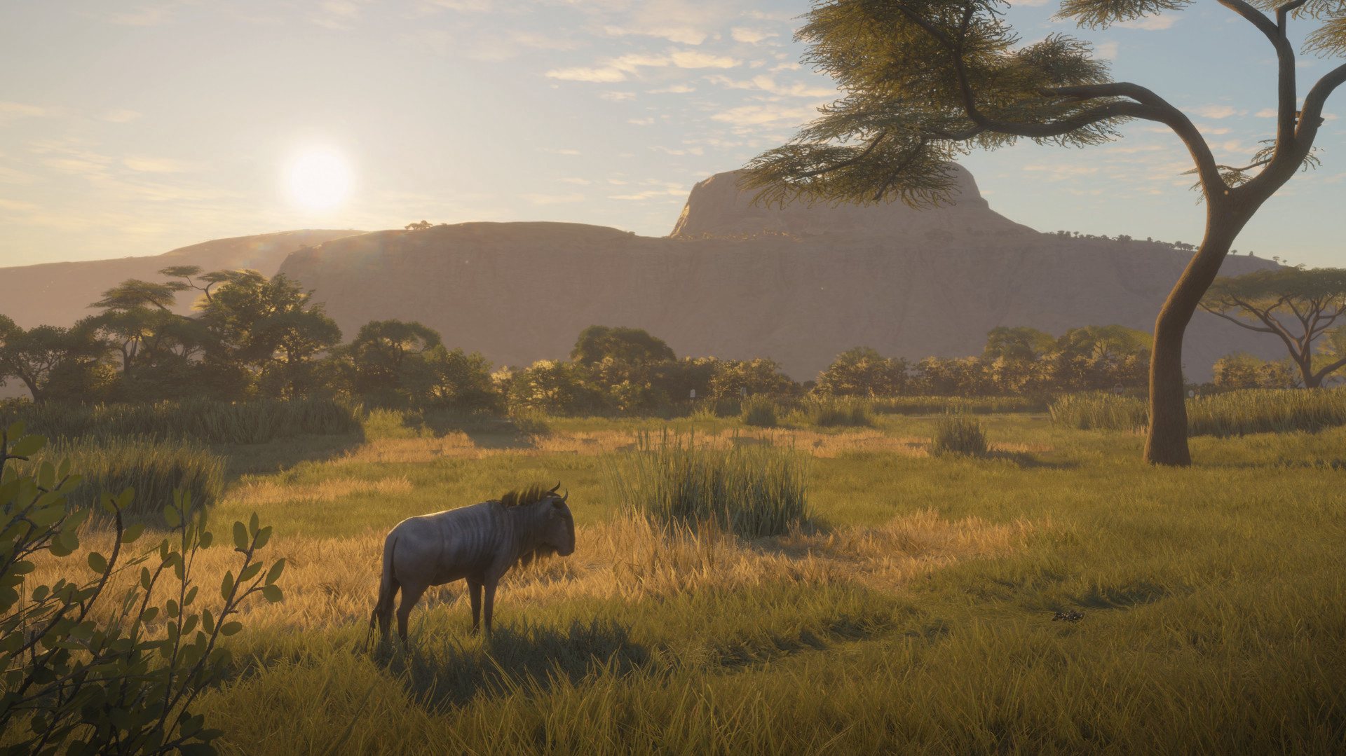 theHunter: Call of the Wild - Vurhonga Savanna DLC PC Steam CD Key (valid until March, 2027)