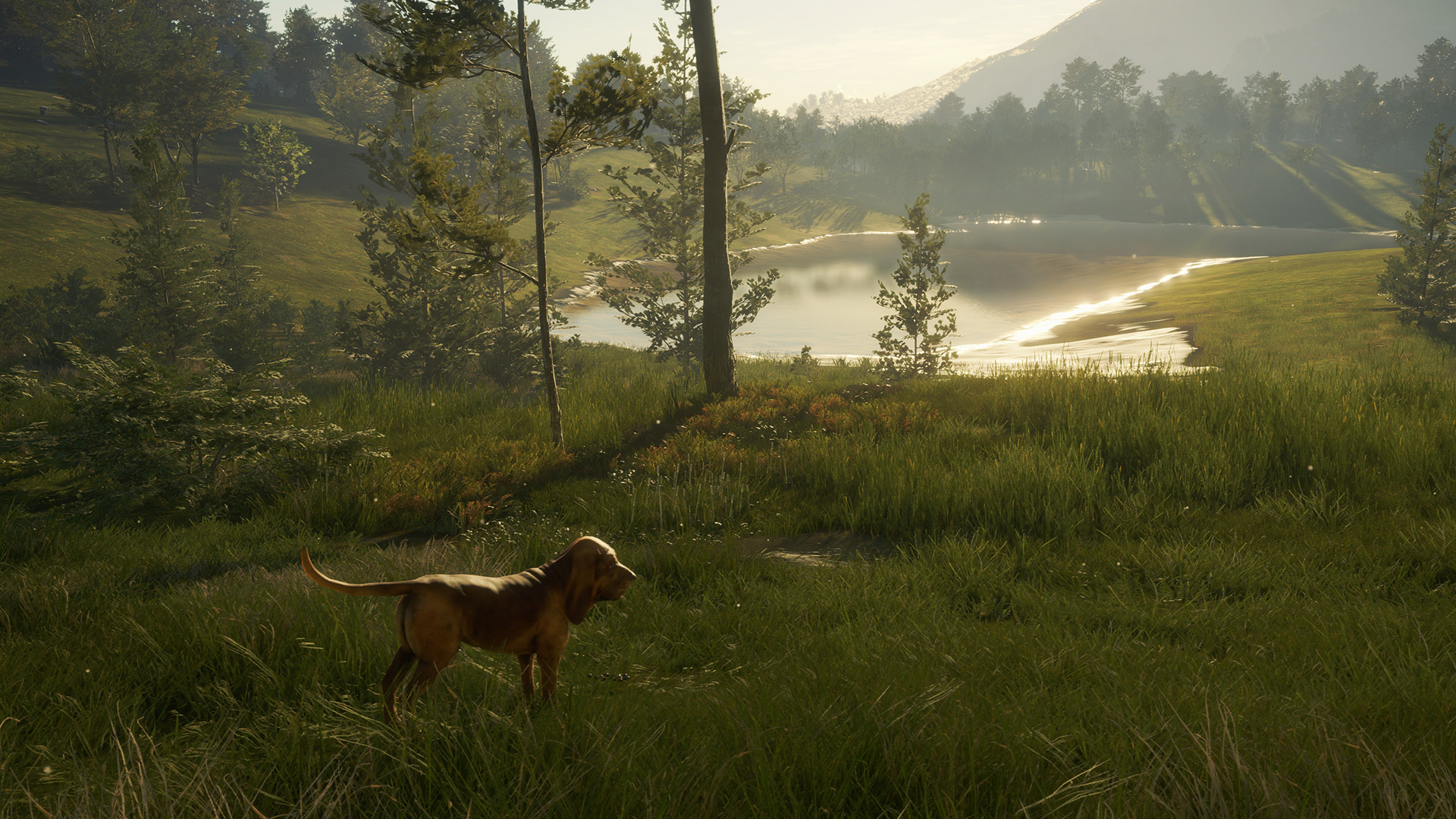 theHunter: Call of the Wild - Bloodhound DLC PC Steam CD Key (valid until March, 2027)