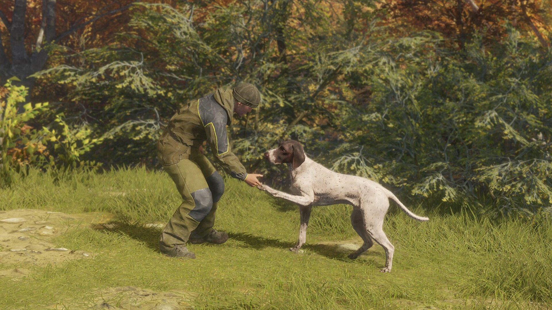 theHunter: Call of the Wild - German Shorthaired Pointer DLC PC Steam CD Key (valid until March, 2027)
