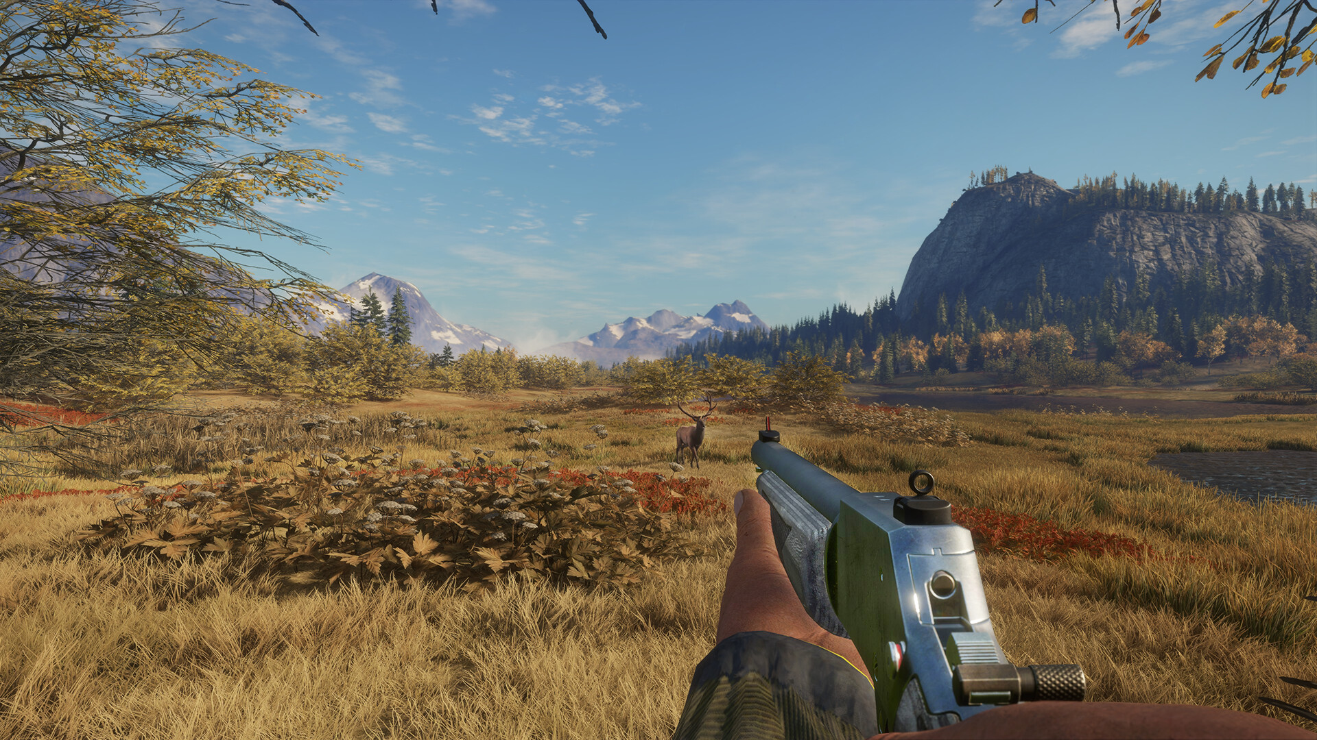 theHunter: Call of the Wild - Ambusher Pack DLC PC Steam CD Key (valid until March, 2027)