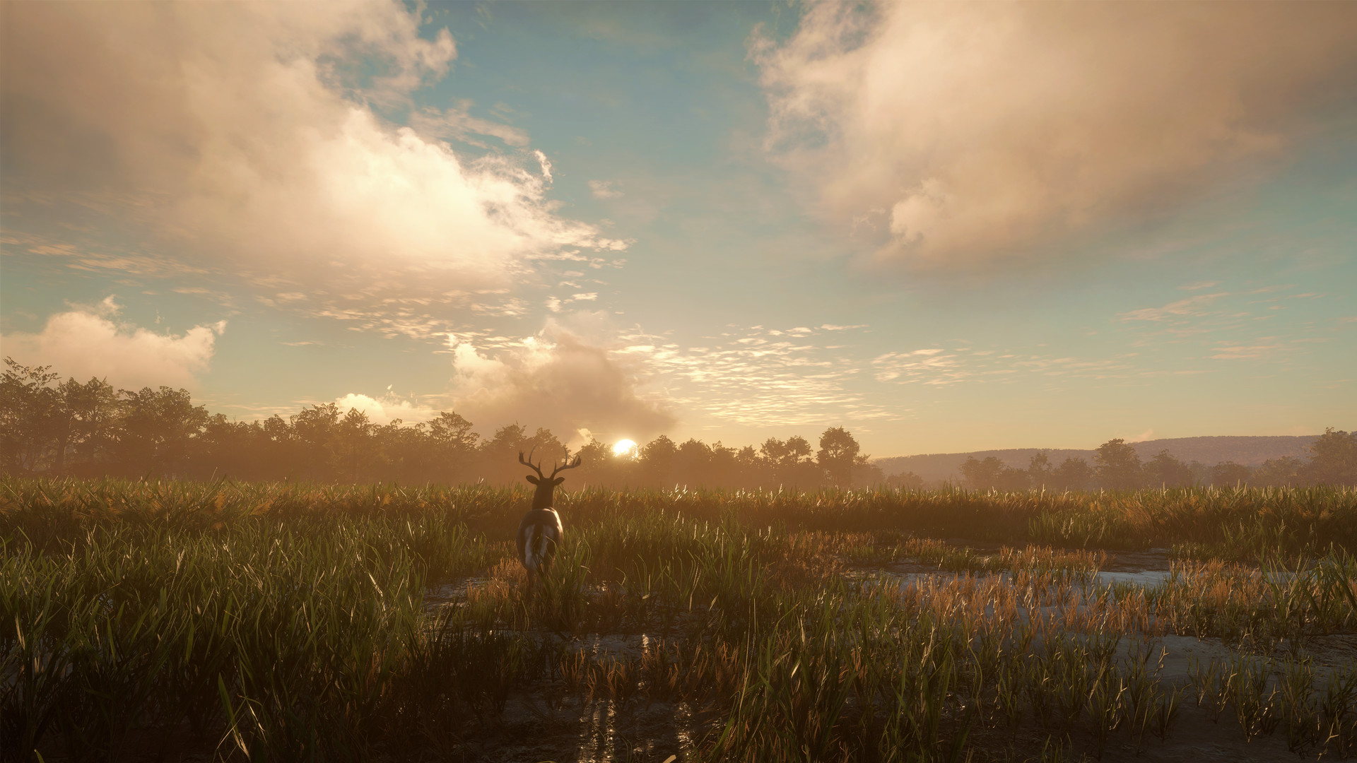 theHunter: Call of the Wild - Mississippi Acres Preserve DLC PC Steam CD Key (valid until March, 2027)