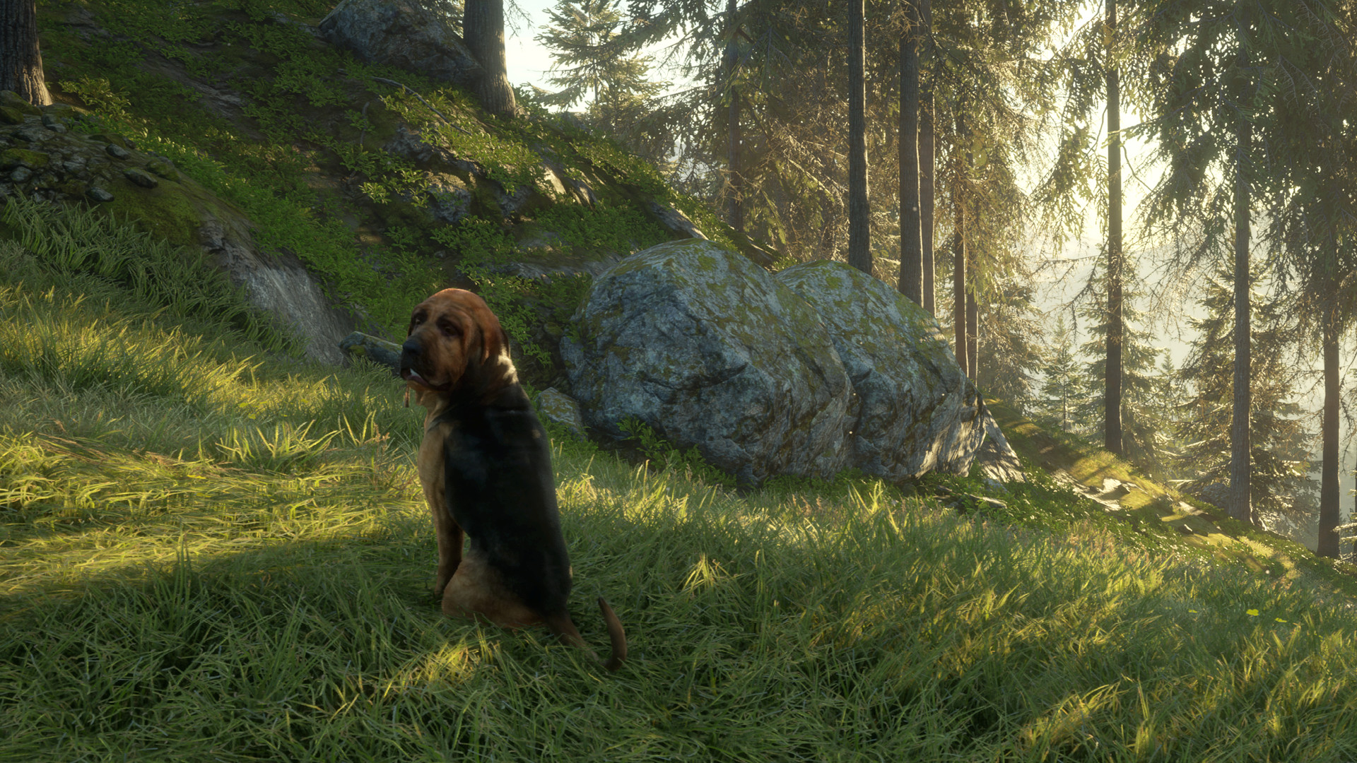 theHunter: Call of the Wild - Bloodhound DLC PC Steam CD Key (valid until March, 2027)
