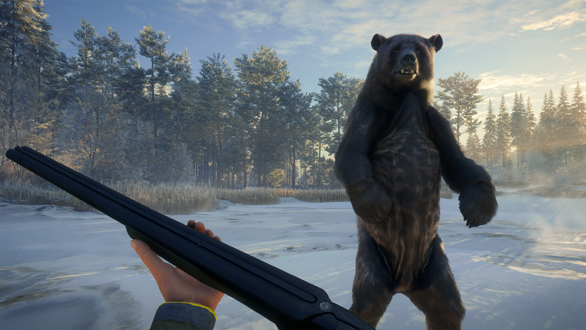 theHunter: Call of the Wild - Weapon Pack 2 DLC PC Steam CD Key (valid until March, 2027)