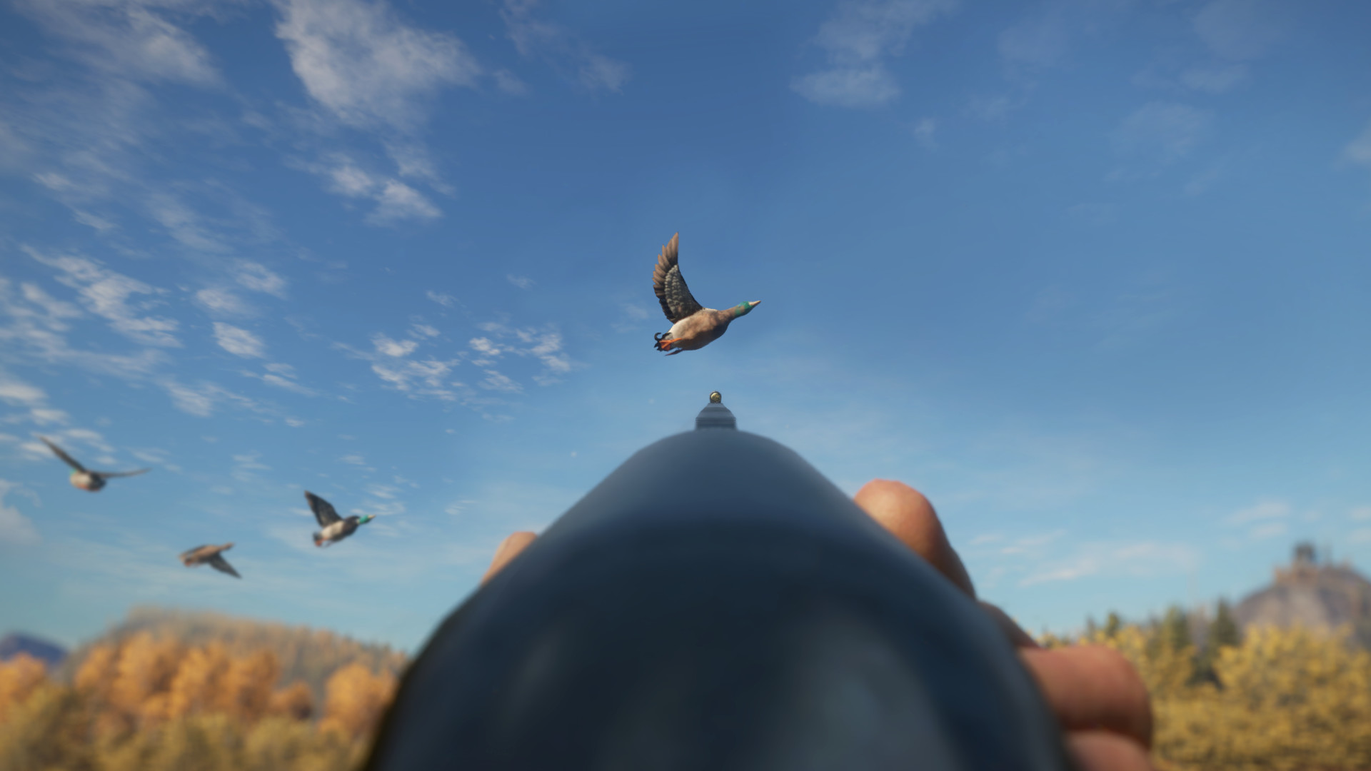 theHunter: Call of the Wild - Duck and Cover Pack DLC PC Steam CD Key (valid until March, 2027)