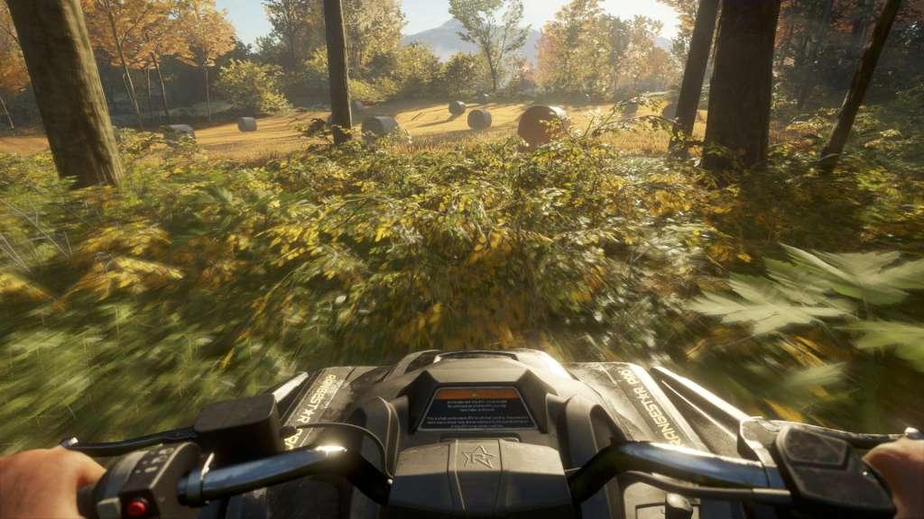 theHunter: Call of the Wild - ATV Saber 4X4 DLC PC Steam CD Key (valid until March, 2027)