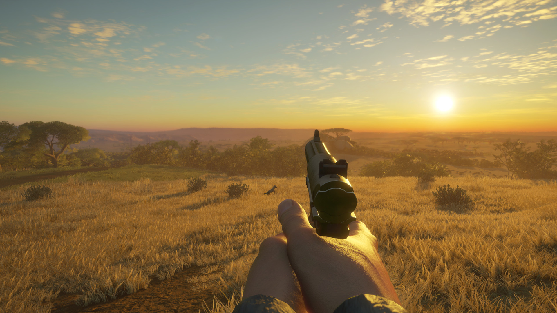 theHunter: Call of the Wild - Weapon Pack 3 DLC PC Steam CD Key (valid until March, 2027)
