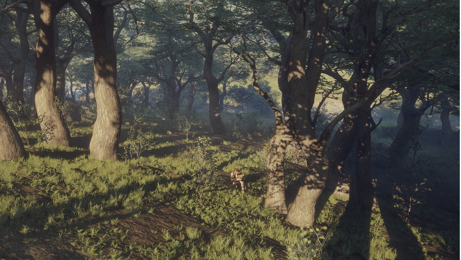theHunter: Call of the Wild - Parque Fernando DLC PC Steam CD Key (valid until March, 2027)