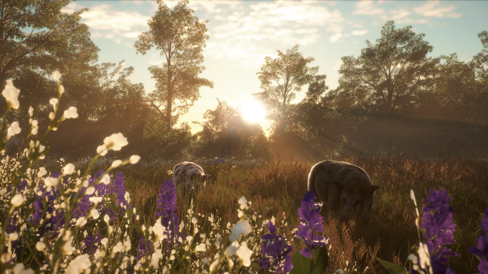 theHunter: Call of the Wild - Mississippi Acres Preserve DLC PC Steam CD Key (valid until March, 2027)
