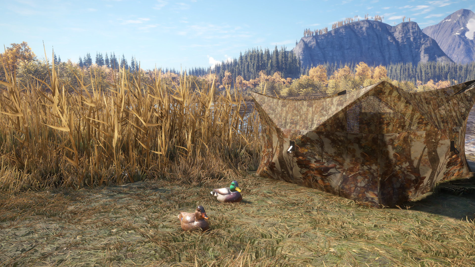 theHunter: Call of the Wild - Duck and Cover Pack DLC PC Steam CD Key (valid until March, 2027)