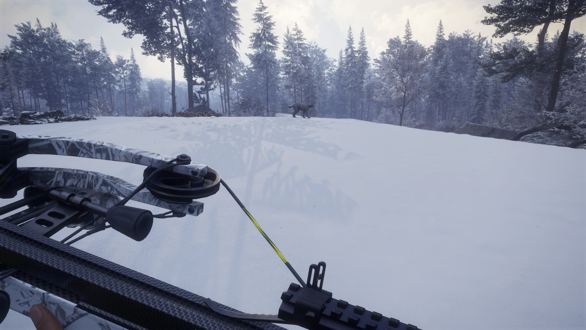 theHunter: Call of the Wild - Weapon Pack 1 DLC PC Steam CD Key (valid until March, 2027)