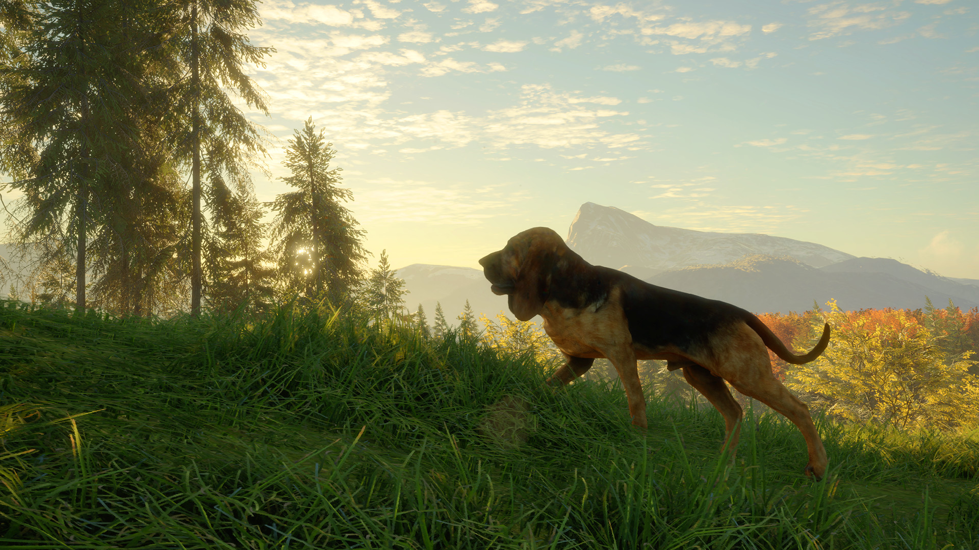theHunter: Call of the Wild - Bloodhound DLC PC Steam CD Key (valid until March, 2027)