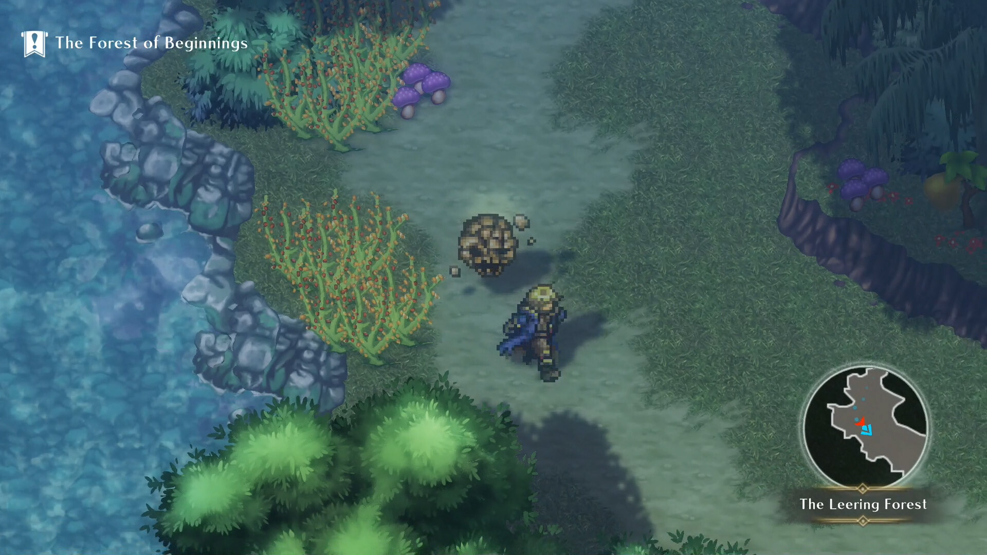 WiZmans World Re;Try PC Steam CD Key