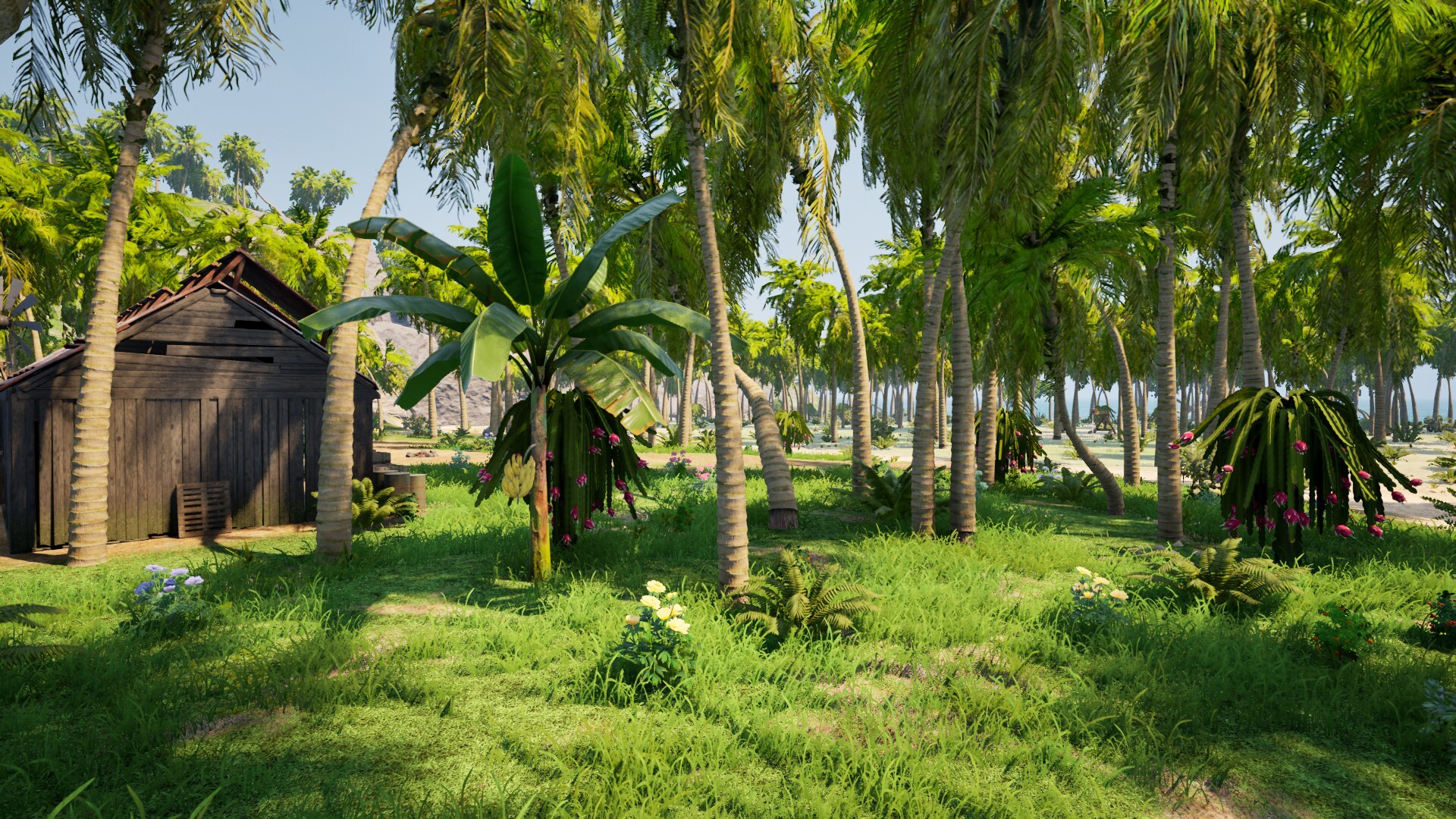 Dig Island PC Steam CD Key