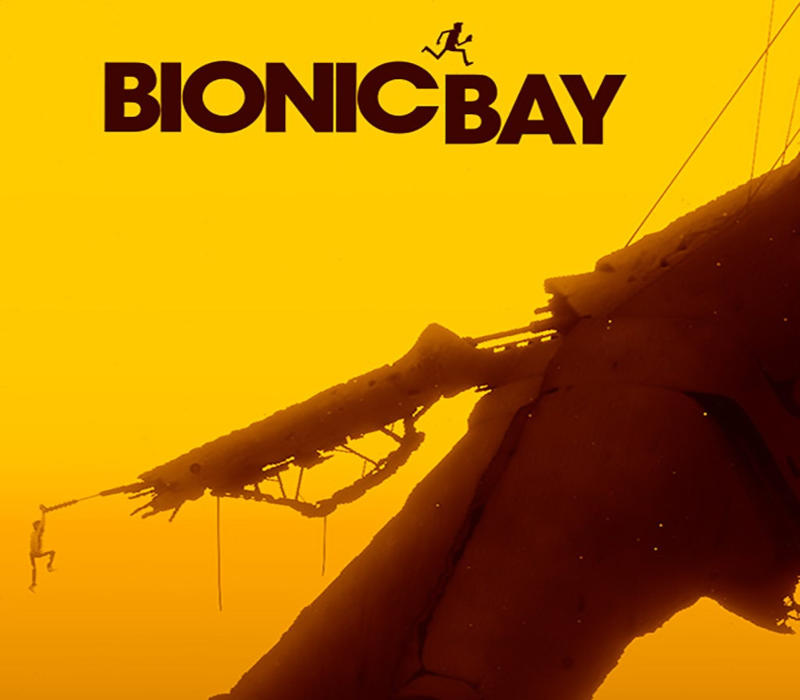 Bionic Bay PC Steam Account