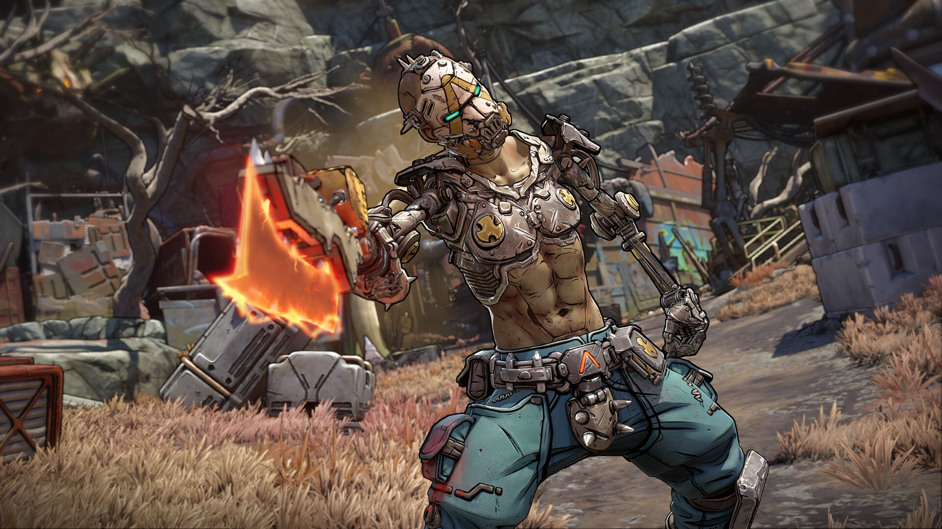 Borderlands 4 EU PC Steam CD Key