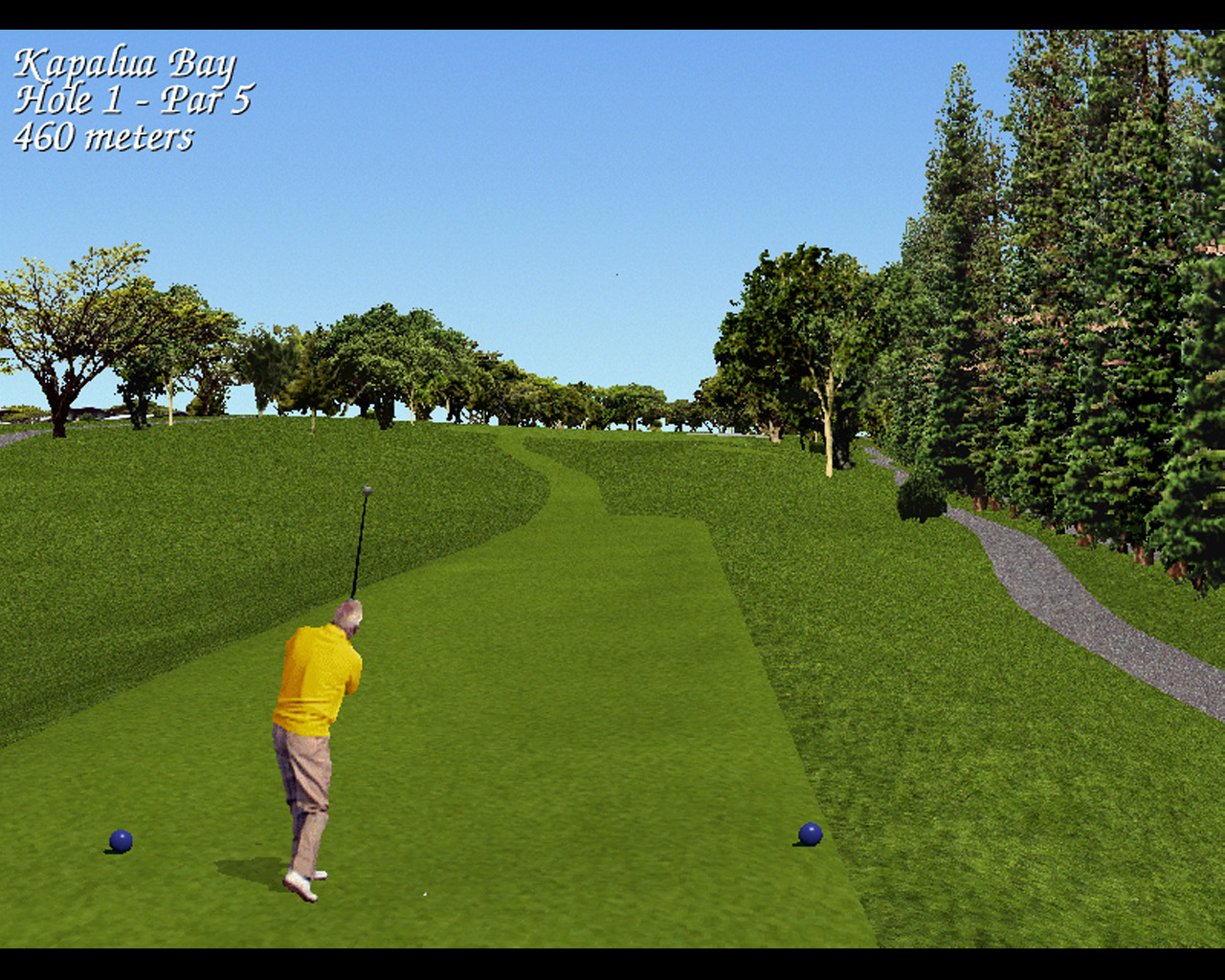 Links LS: 1998 Edition PC GOG CD Key