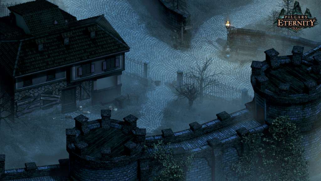 Pillars of Eternity Definitive Edition EU PC Steam CD Key