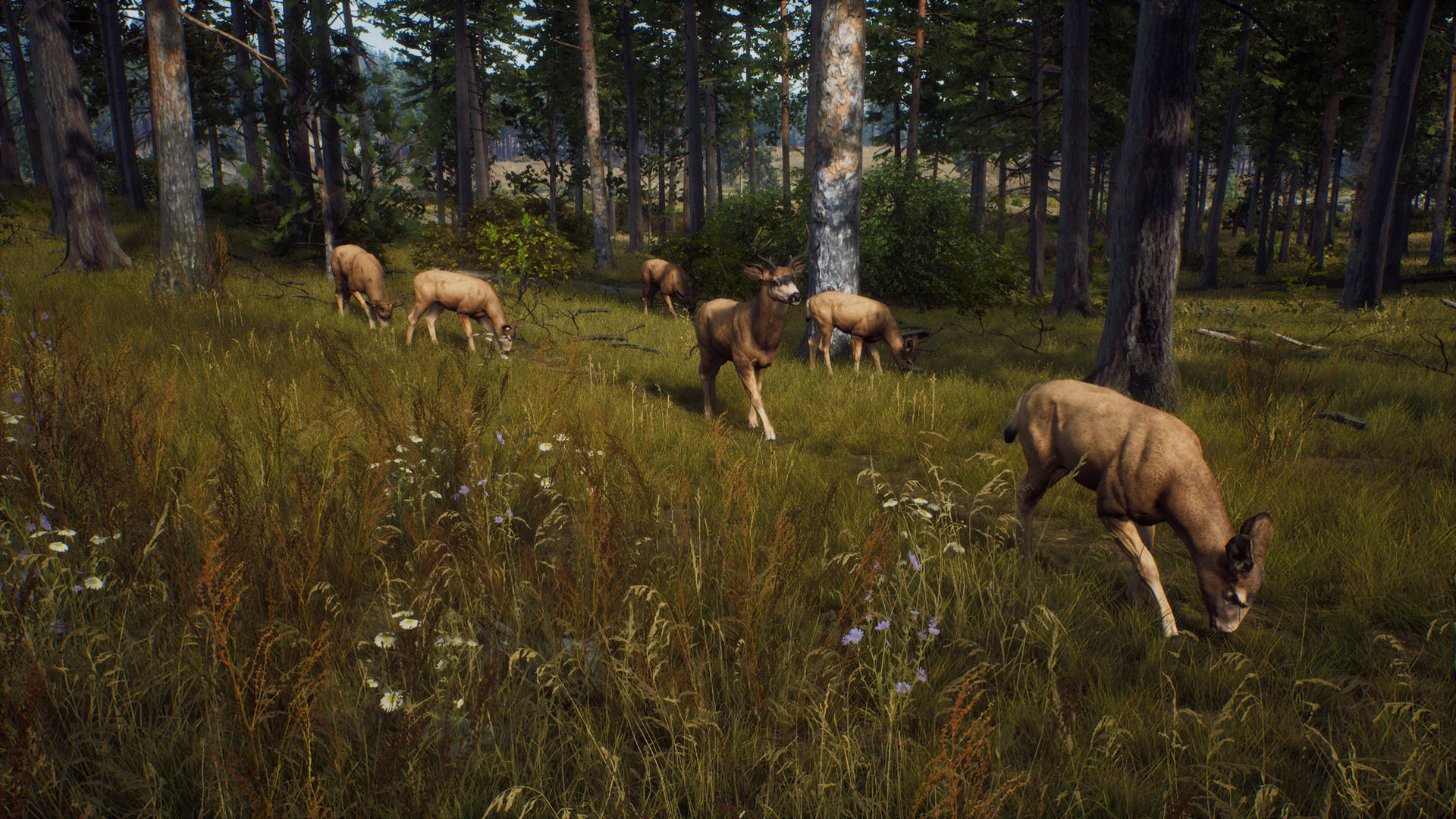 Way of the Hunter Elite Edition PC Steam CD Key