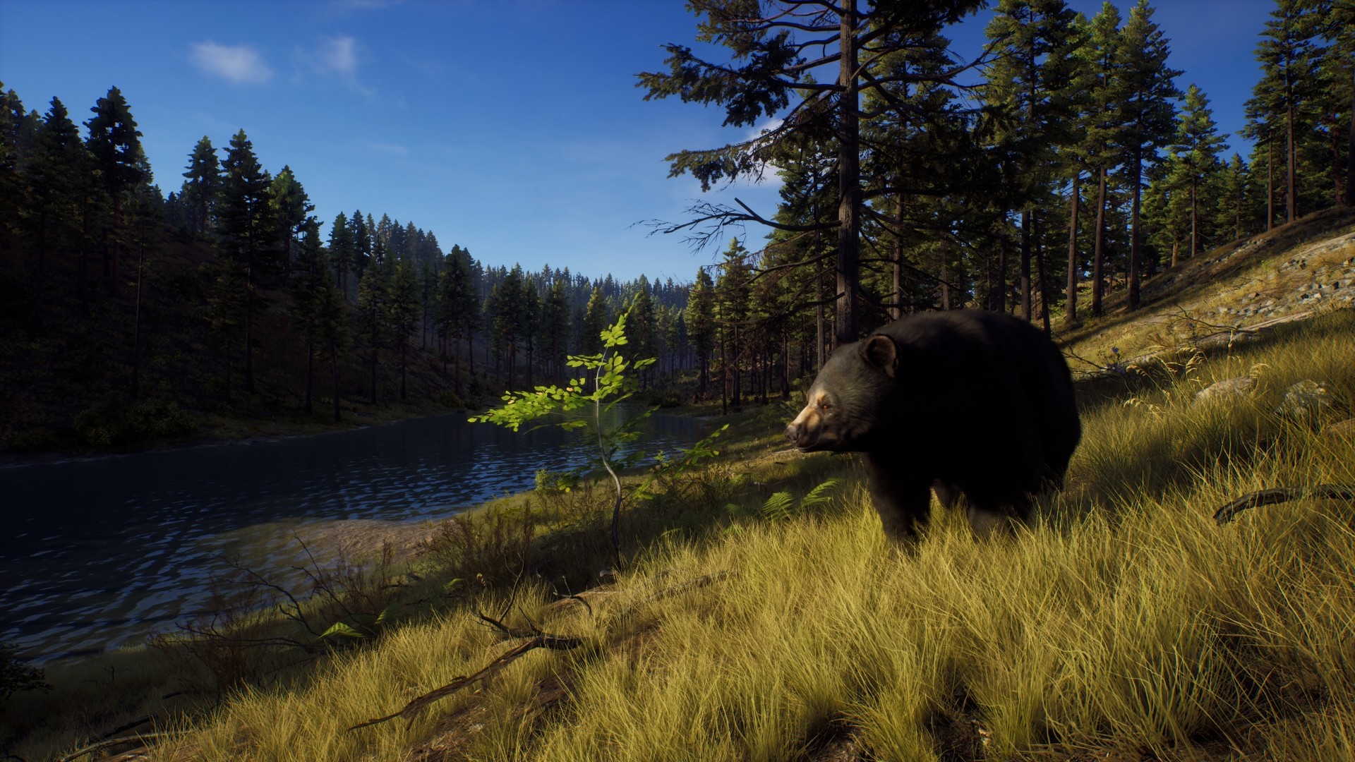 Way of the Hunter Elite Edition PC Steam CD Key