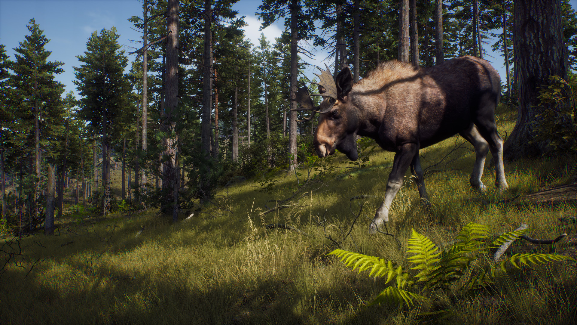 Way of the Hunter Elite Edition PC Steam CD Key