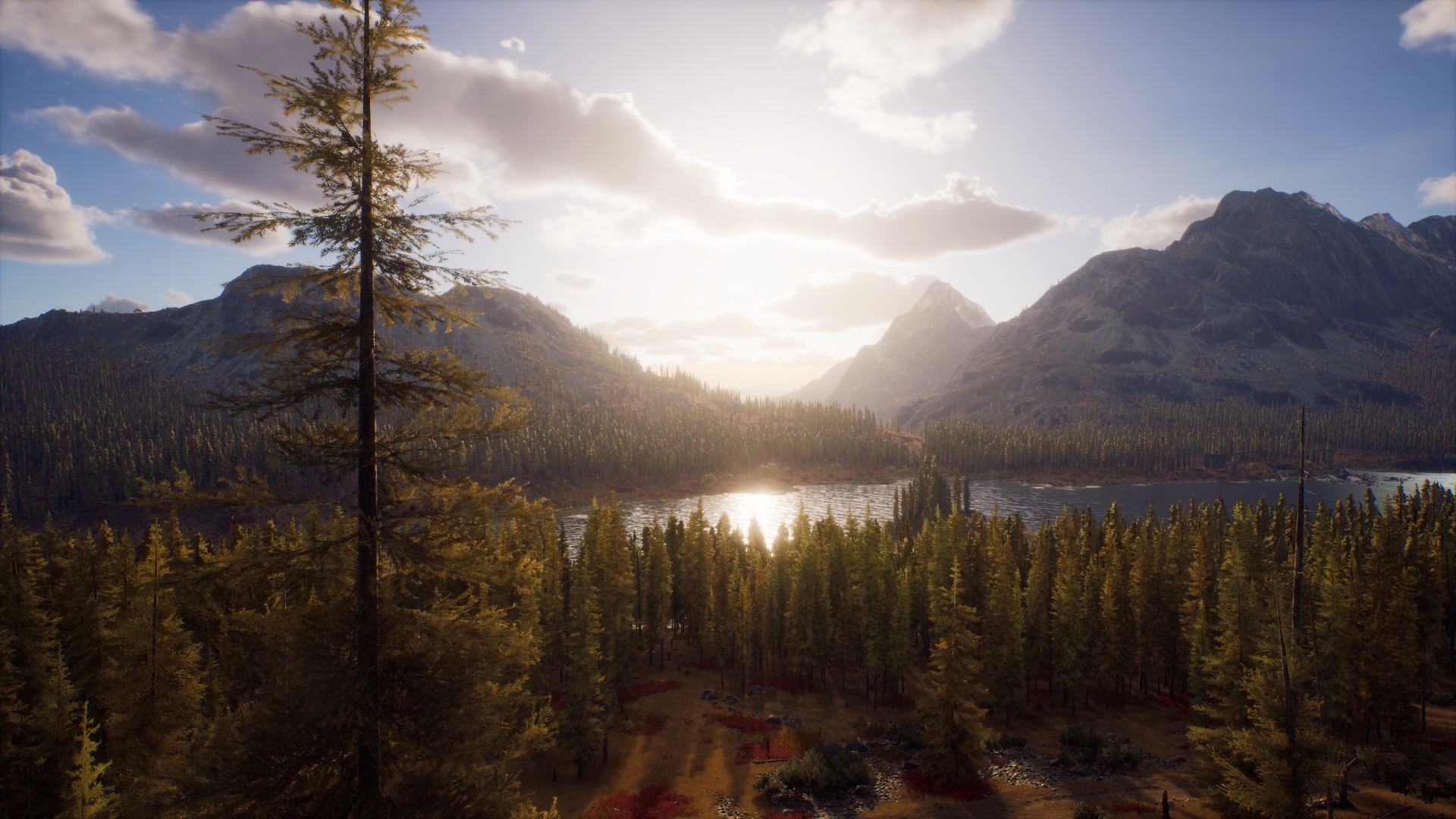 Way of the Hunter Elite Edition PC Steam CD Key