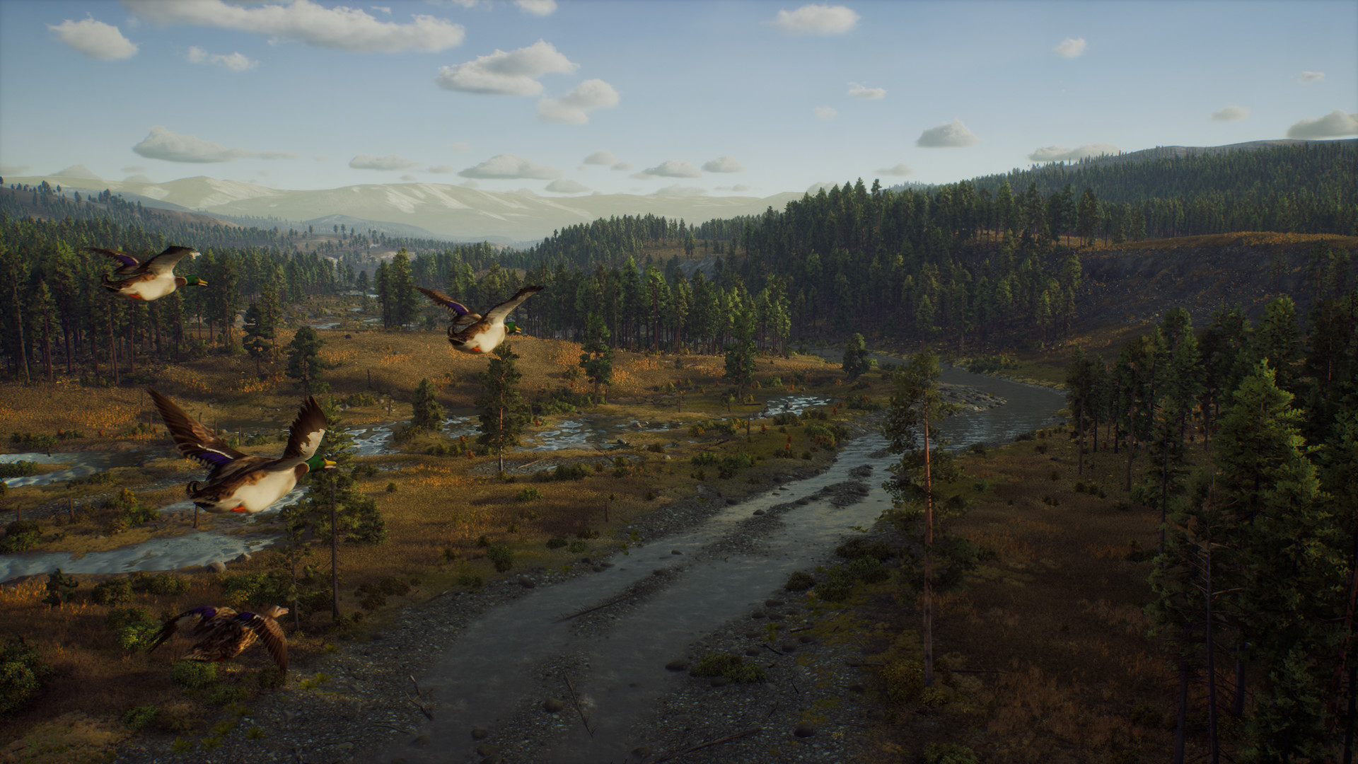 Way of the Hunter Elite Edition PC Steam CD Key