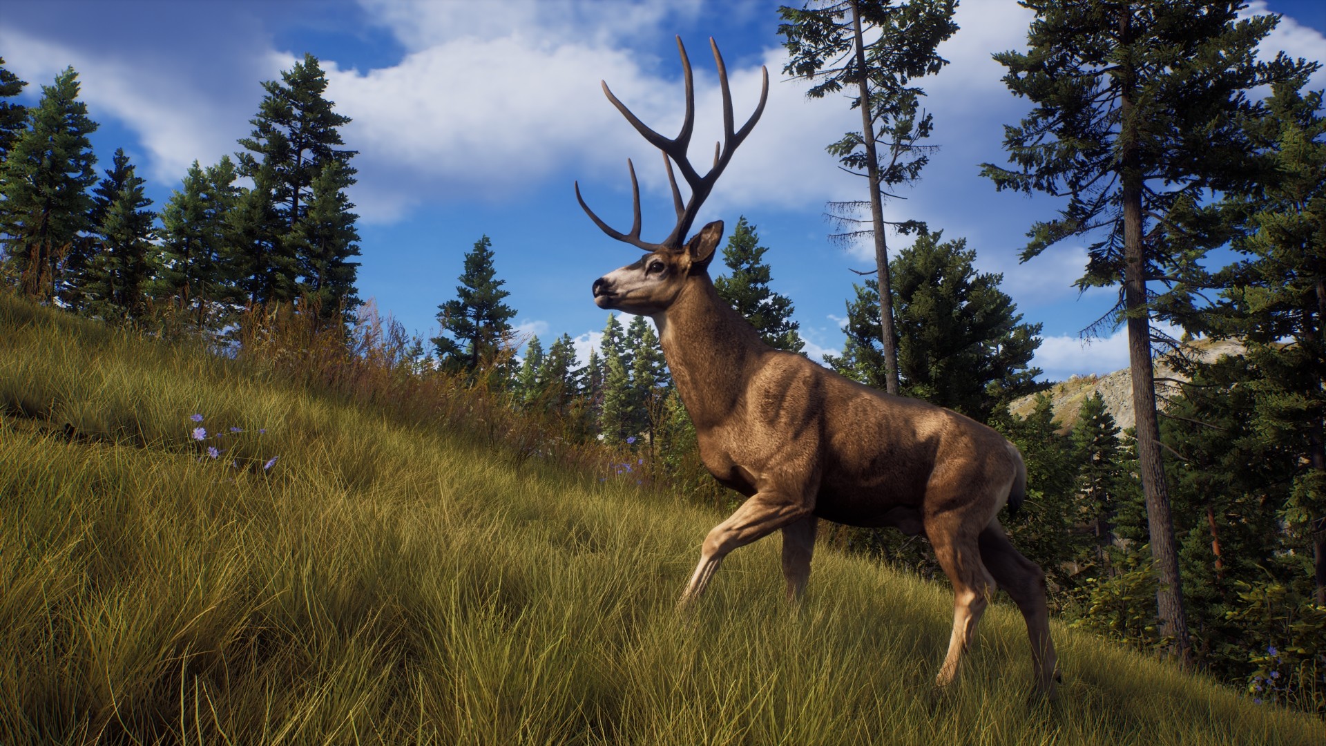 Way of the Hunter Elite Edition PC Steam CD Key