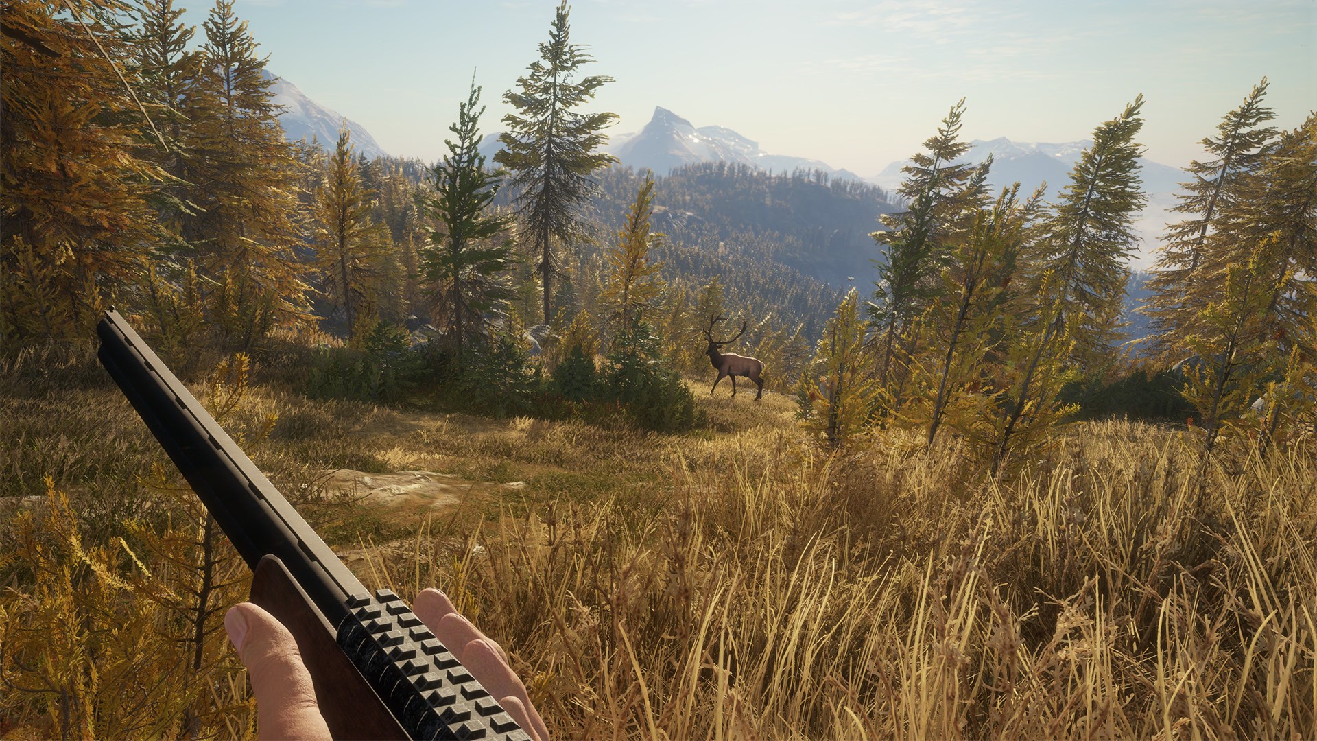 theHunter: Call of the Wild Ultimate Hunting Bundle PC Steam CD Key