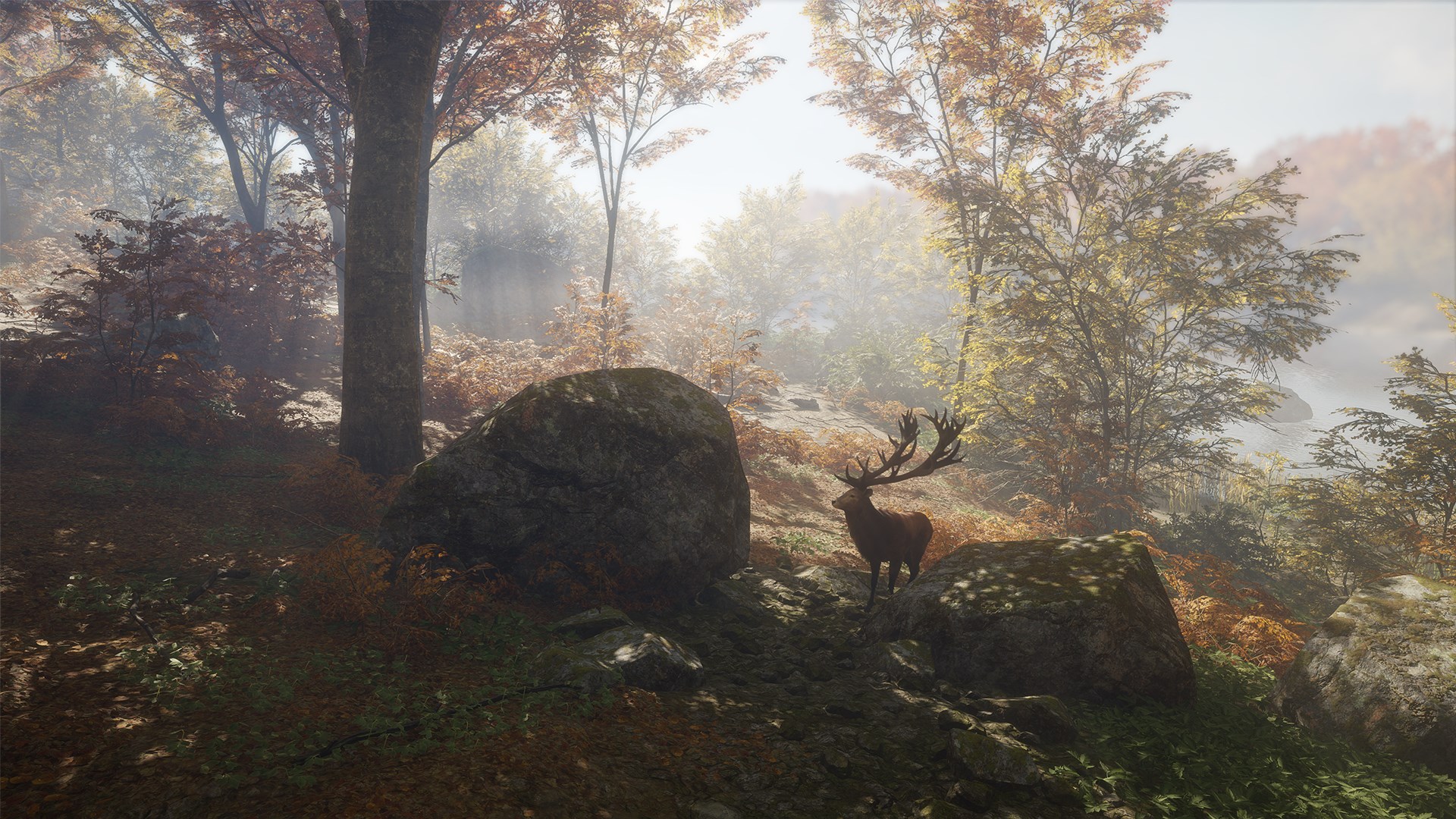 theHunter: Call of the Wild Ultimate Hunting Bundle PC Steam CD Key