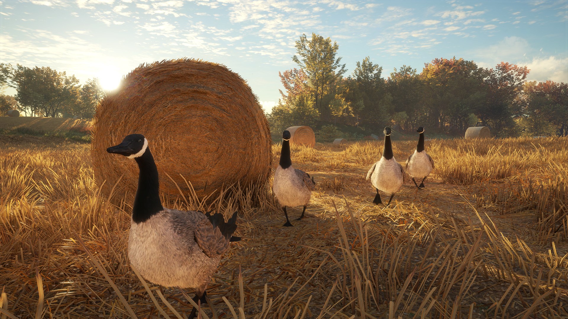 theHunter: Call of the Wild Ultimate Hunting Bundle PC Steam CD Key